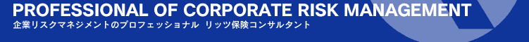 企業リスクマネジメントのプロフェッショナル　リッツ保険コンサルタント